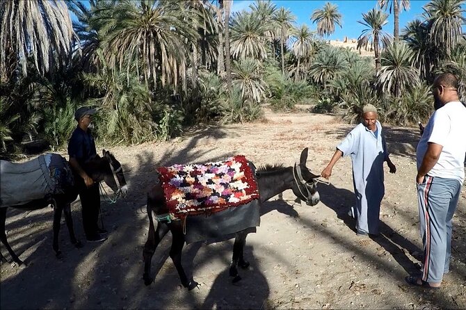 1 Day Guided Tour to Tiout Tarodant From Agadir - Exploring Tiout Taroudant