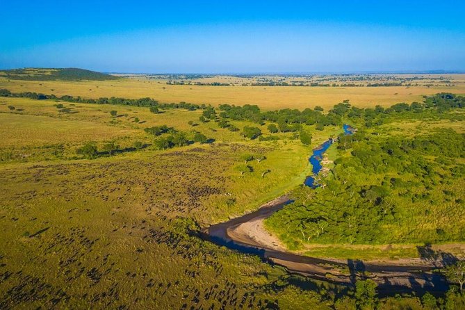 1-Day Maasai Mara Safari - Tour Provider and Rating