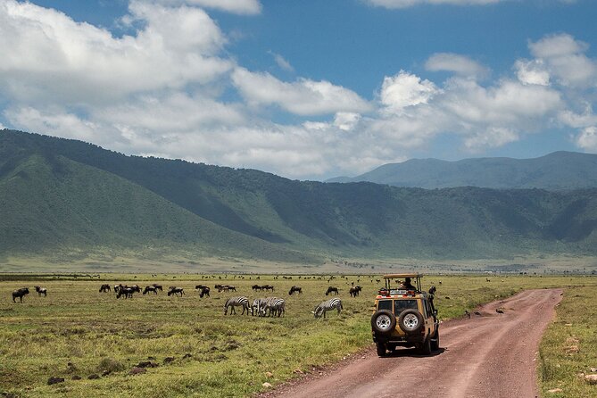 1 Day Ngorongoro Crater Group Jioning Safari - What to Bring and Wear