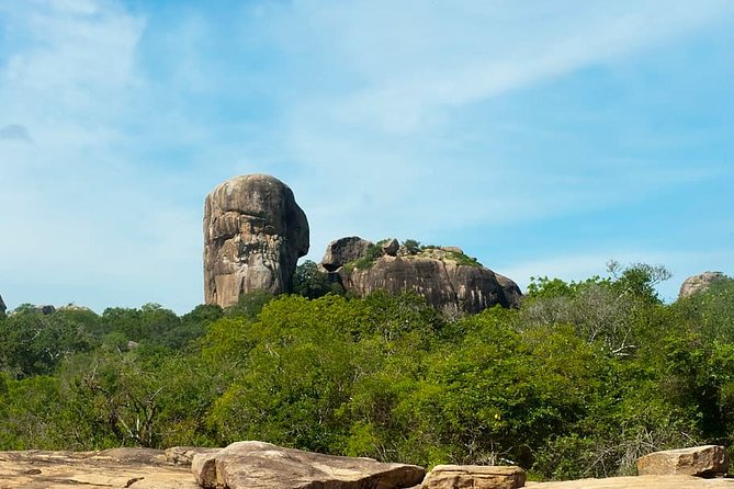 1 Day Tour to Yala National Park or Udawalawe National Park - Safari Experience Highlights
