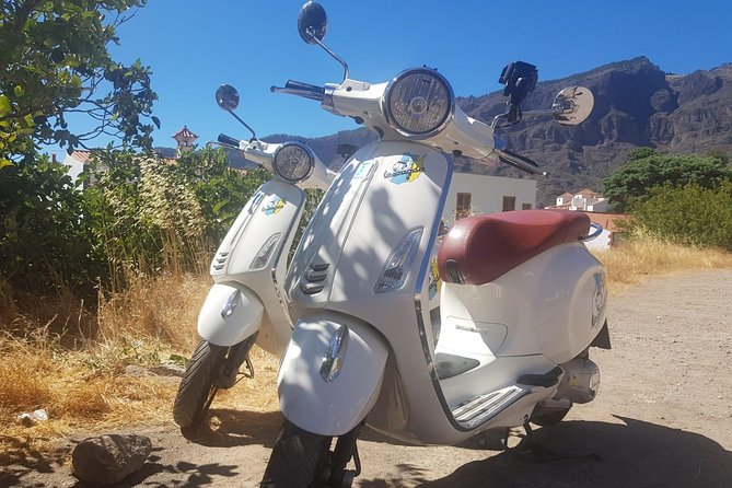 1 Day Vespa Gran Canaria by Vespa GPS Guided Tour - Safety Measures