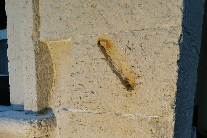 1 Hour Walking Tour The Ancient Jewish Quarter in Lecce - Traveler Reviews