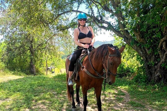 1 HR Horseback Riding + Sloths, Island Tour & Beach Break - Preparing for the Experience