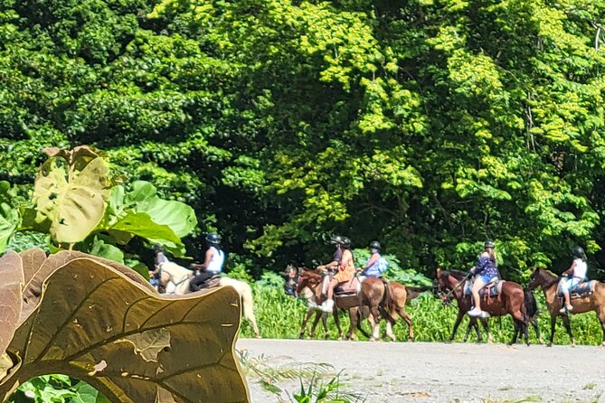 1 or 2 Hour Puerto Rico Horseback Ride Experience! - Group Size and Capacity