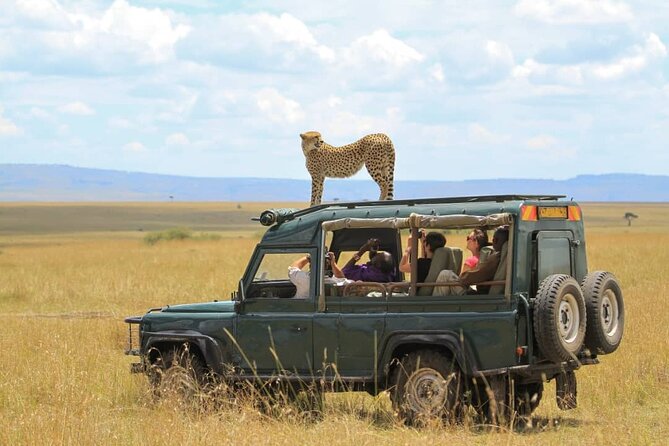 10-DAY African Safari in Uganda From Kampala - Wildlife Experiences