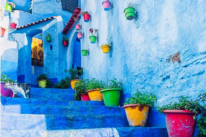 10 Day Classic Tour - Casablanca > Casablanca - Highlights of the Tour