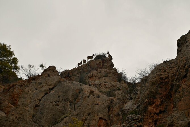 10-Day Great Armenian Discovery Tour - Unique Experiences