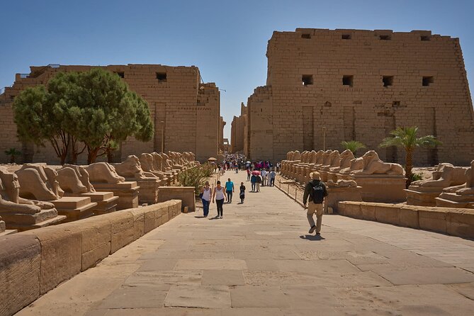 10-DAY Private Tour to Egypt From Hurghada to the White Desert - Health and Safety Guidelines