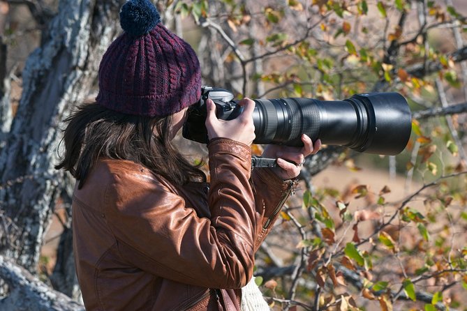 10 Day Wildlife Photographic Safari - Kruger National Park - B1 Photo Safaris - Exploring Kruger National Park