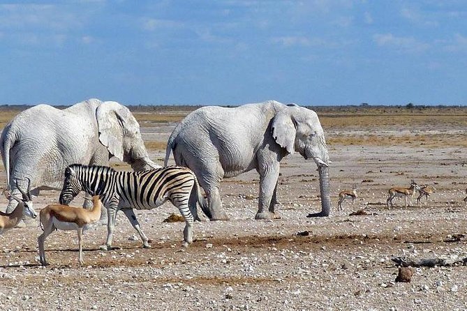 10 DAYS BEAUTY OF NAMIBIA | Private Guided Tour - Accessibility Features