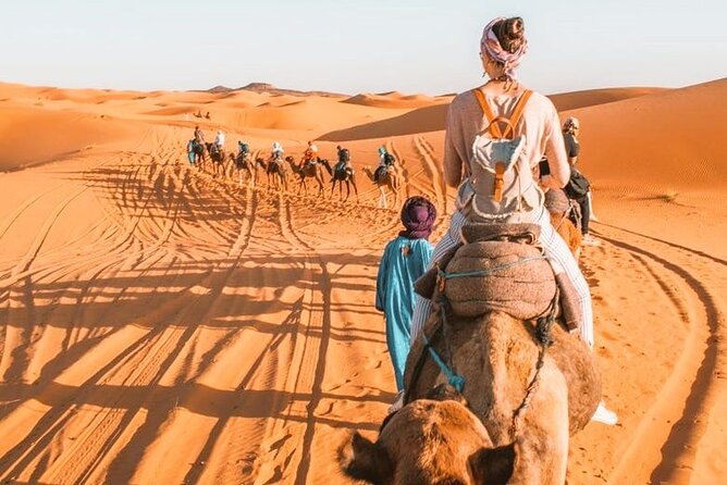 10Day Desert Tour Casablanca & Chefchaouen & Fes & Marrakech - Traveler Information