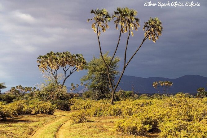 11-Day Serengeti, Maasai Mara, Tarangire, Amboseli Park - Accommodation and Meals