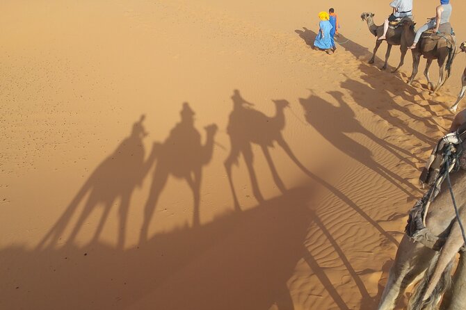 12-Day Private Moroccan Cities and Deserts Tour - Cancellation Policy
