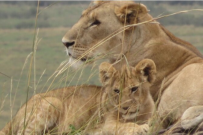 12 Days Wildlife Safaris And Culture Tour - Relaxing at Lake Manyara