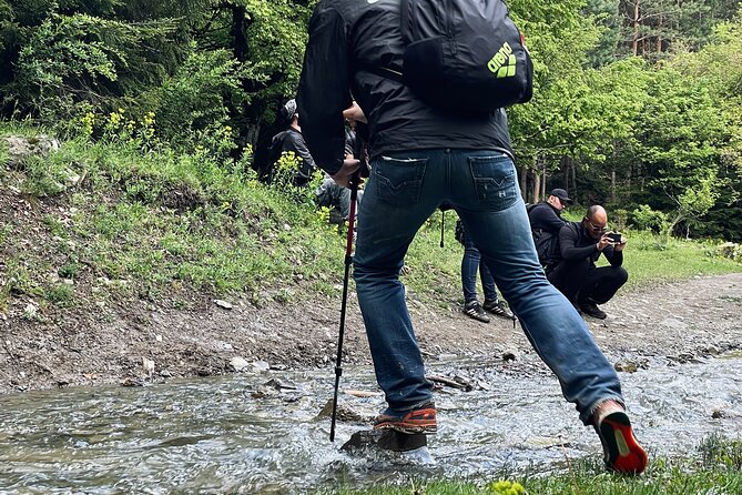13 Km Hike in Borjomi - Group Tour From Tbilisi - Reviews and Ratings