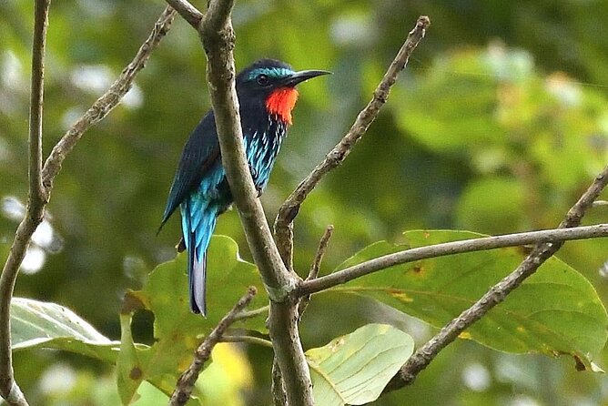 15-Day Ghana Wildlife Private Tour - Meeting and Pickup Information