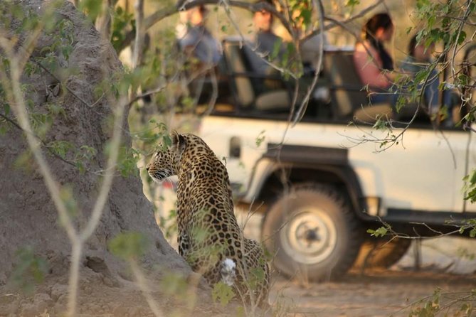 2-Day Camping Safari in Chobe National Park From Victoria Falls - Inclusions and Exclusions
