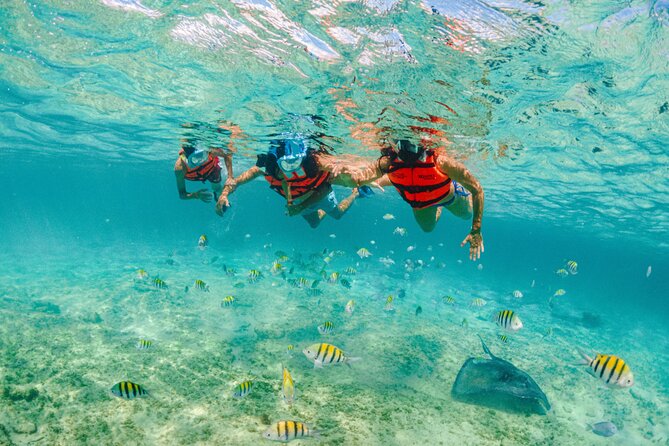 2 Day Combo Tour, Xcaret, Xel-Ha, Xplor and Chichen Itza Option - Xcaret Park Highlights