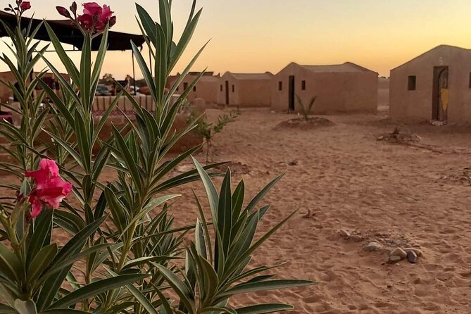 2 Day Desert Tour From Mhamid - Camel Riding and Activities