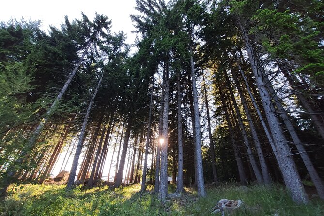 2 Day Private Adventure Tour in Vitosha Mountain From Sofia - Participant Accessibility