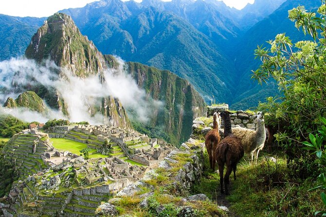 2-Day Private Sacred Valley Conex, Machu Picchu Tour - Pricing Details