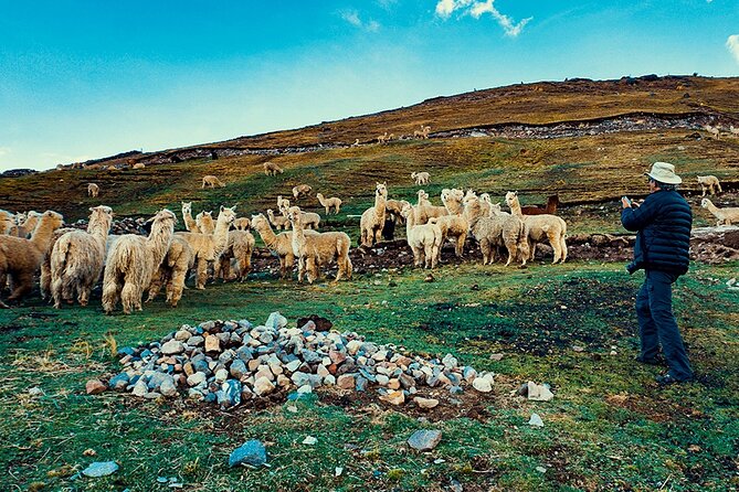 2-Day Tour to Machu Picchu and Rainbow Mountain Cusco - Pickup and Logistics
