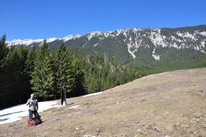 2-Day Transylvania Culture Trek From Brasov - Small Group Tour - Accommodations and Meals