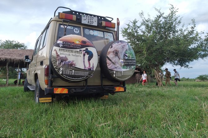 2 Day Wildlife Experience and Masai Culture Mikumi Park - What to Expect