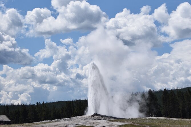 2-Day Yellowstone Tour Lower and Upper Loop Guided Tour - Reviews and Ratings