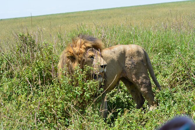 2 Days 1 Night Northern Joining Safari Private Tour - Booking Process