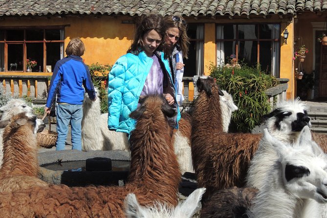 2-Days Cotopaxi and Baños Journey - Pricing and Reviews