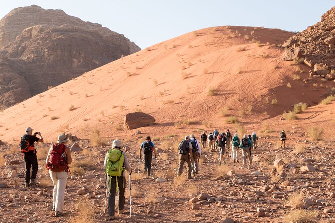 2 Days Guided Hiking Tour To Wadi Rum Jebal Al Hash - Reviews and Feedback