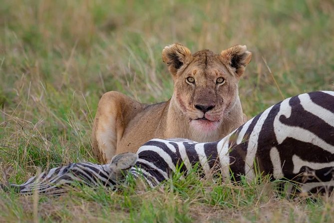 2 Days Joined Group Tarangire and Ngorongoro Crater National Park - Traveler Reviews