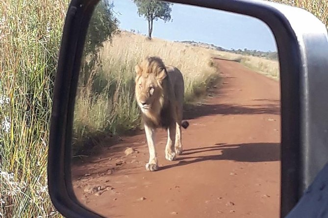 2-Days Pilanesberg Best Chance to View Big 5 With Private Extended Safari - Transportation Details