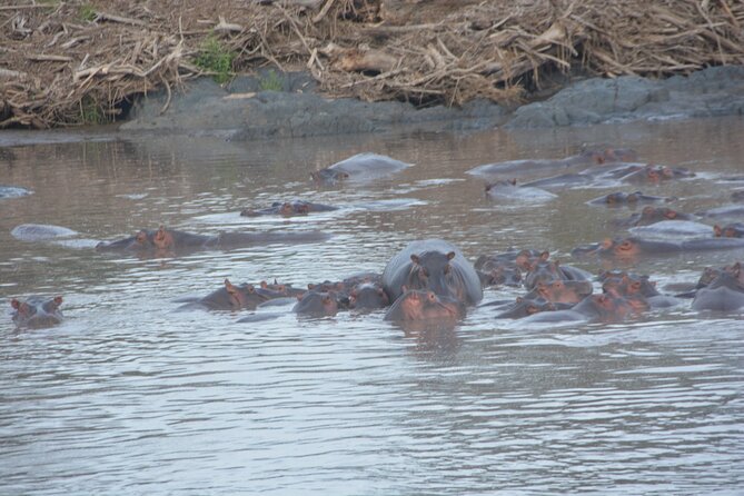 2 Days Tour From Zanzibar to Nyerere National Park (Selous GR) - Reviews and Ratings