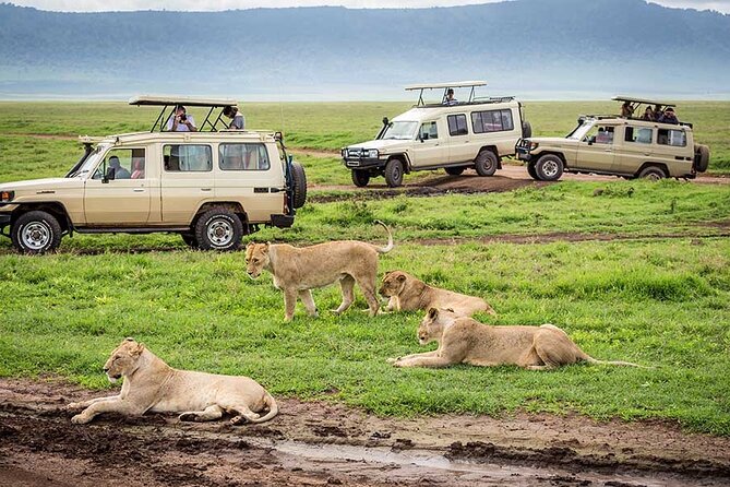 2 Days Tour Tarangire & Ngorongoro - Exploring Tarangire National Park