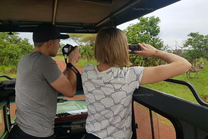 2 Days Trip_Akagera National Park (Wildlife Safari) - Reviews and Ratings