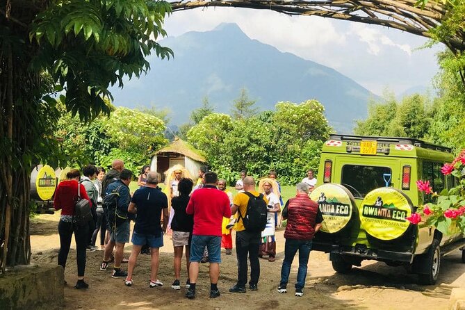 2 Days Uganda Gorilla Trekking - Physical Requirements and Accessibility