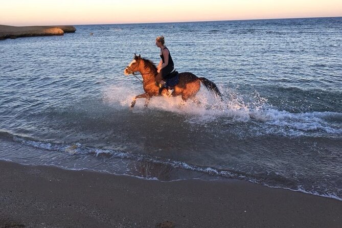 2-Hour Horse Riding Adventure on The Sea and Desert in Hurghada - Exploring the Desert Landscape