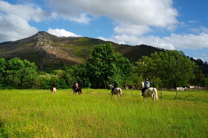 2 Hour Horseback Ride for Experts in Valgraziosa (Pisa) - Getting There
