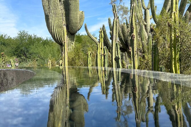 2 Hour Photography Tour of Phoenix Desert Botanical Gardens - Exploring the Desert Botanical Garden
