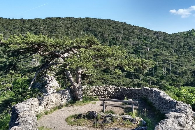 2-Hour Private Hiking Tour on Kalenderberg Mountain to Meet History From Vienna - Alternative Tour Options and Weather Conditions