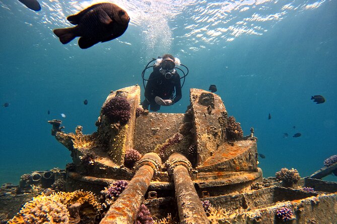 2-Hour Private Scuba Experience in Aqaba - Booking Information