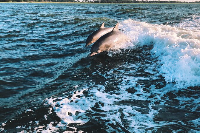 2-Hour Sailboat Watching Dolphins Along the Coast of Sotogrande - Customer Reviews and Ratings