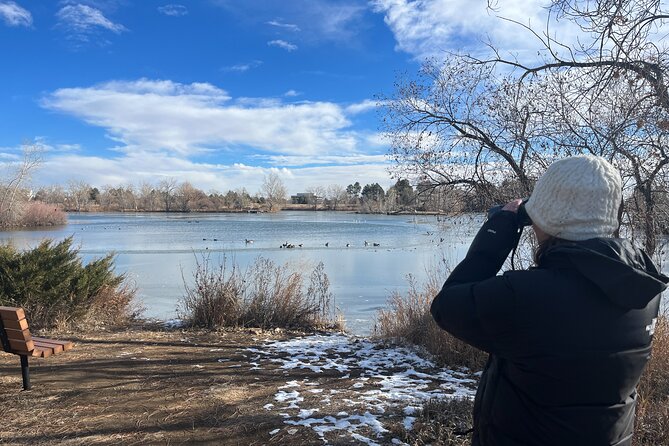 2 Hours of Mindful Bird Watching Near Denver - Bird Species to Observe
