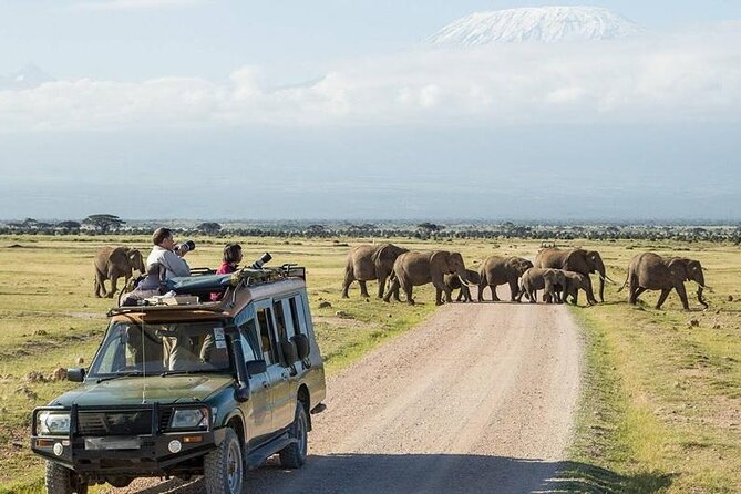 2 Nights 3 Days Amboseli National Park - Preparing for the Adventure