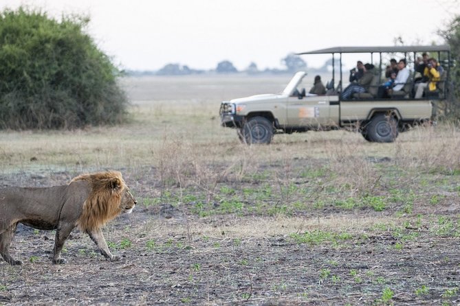 2 Nights 3 Days Chobe Safari Ex Livingstone/ Victoria Falls - Inclusions and Amenities