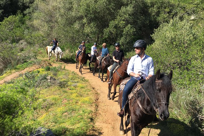 2h – Horse Trail - What to Expect