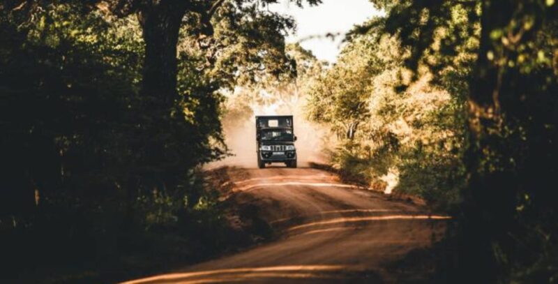 3-Day All Inclusive Wildlife Tour in Belihuloya & Yala - Day 3: Yala to Galle