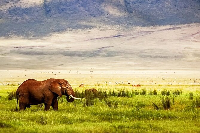 3-Day Camping Safari Tarangire, Lake Manyara & Ngorongoro Crater - Frequently Asked Questions